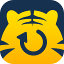 Tiger Data Recovery