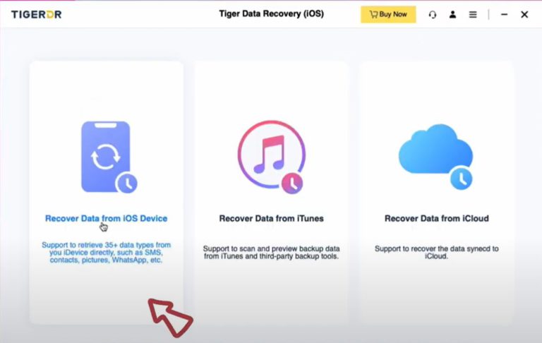Easy Ways to Download Twitter/X Videos to Your iPhone/PC