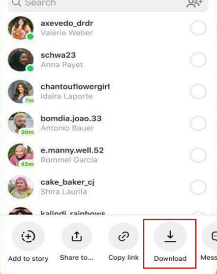 How to Download Instagram Reels Video