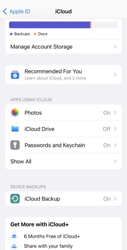 iCloud backup