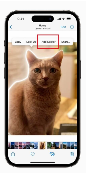 How to Make Live Stickers on iPhone How to Make Live Stickers on iPhone